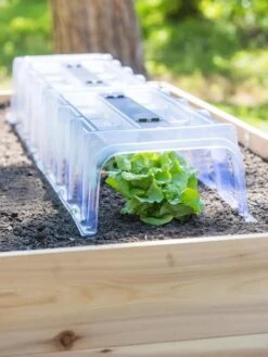 Cool Weather Row Cloche Centers, Set Of 3 -Garden Care Supplies 8599960 1105 tif