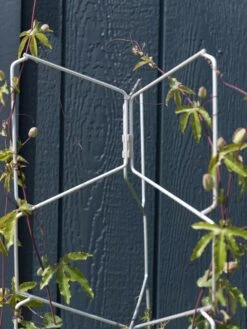 Vertex Universal Tower -Garden Care Supplies 8599997 0052 tif