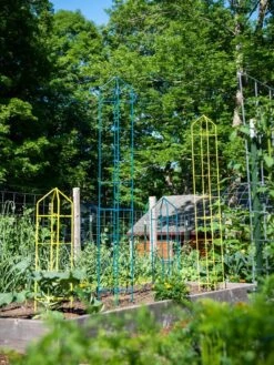 Zenith Folding Garden Supports, Set Of 2 15 Zenith Folding Garden Supports, Set Of 2 -Garden Care Supplies 8600072 0449 tif