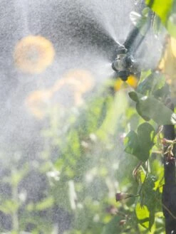 Landscape 4-Way Cooling Mist Kit, 50' -Garden Care Supplies 8600154 0695 tif