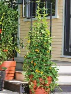 Gardener’s Victory Self-Watering Planter Garden With Vine Trellis -Garden Care Supplies 8600175 0733 tif 1