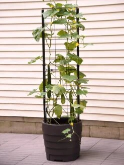 Gardener’s Victory Self-Watering Planter Garden With Vine Trellis -Garden Care Supplies 8600177 9876 tif 1
