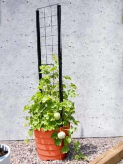 Gardener’s Victory Self-Watering Planter Garden With Vine Trellis -Garden Care Supplies 8600178 05487 tif