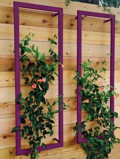 Ina Modern Wall Trellis Sr. -Garden Care Supplies 8600510 02V tif