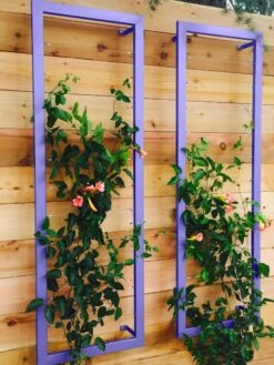 Ina Modern Wall Trellis Sr. -Garden Care Supplies 8600510 07V tif