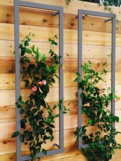 Ina Modern Wall Trellis Sr. -Garden Care Supplies 8600510 08V jpg