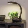 Agrobrite Desktop LED Plant Lamp 2 Agrobrite Desktop LED Plant Lamp -Garden Care Supplies 8608871 0345 tif