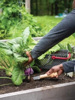 Gardener's Lifetime Hori Hori Knife 9 Gardener's Lifetime Hori Hori Knife -Garden Care Supplies 8608888 0422 tif