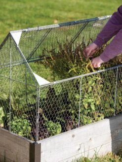 Chicken Wire Crop Coop -Garden Care Supplies 8609080 0187