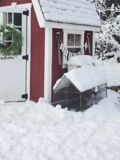 Chicken Wire Crop Coop -Garden Care Supplies 8609080 03IN tif