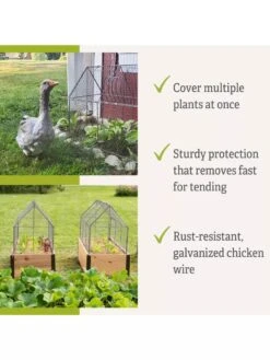 Chicken Wire Crop Coop -Garden Care Supplies 8609080 2