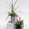 Metal Bucket Planters -Garden Care Supplies 8609086 5623 tif