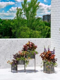 Galvanized Grow Bag Triple Planters With Stand -Garden Care Supplies 8609180 0344 tif