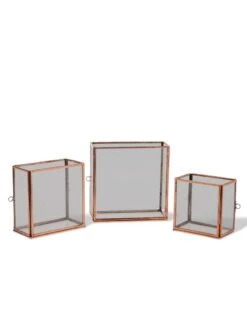 Copper And Glass Terrariums, Set Of 3 7 Copper And Glass Terrariums, Set Of 3 -Garden Care Supplies 8609212 0851 tif