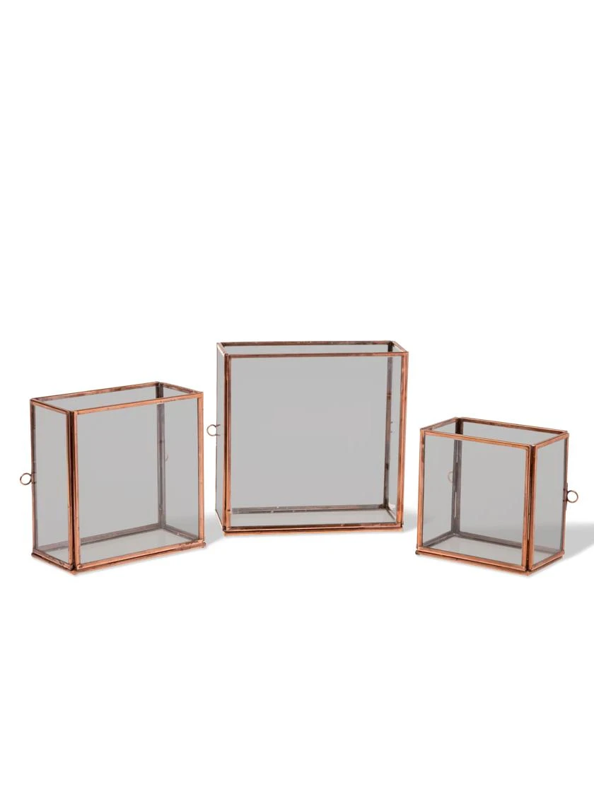 Copper And Glass Terrariums, Set Of 3 5 Copper And Glass Terrariums, Set Of 3 - Image 3