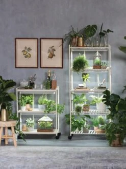 Oslo 2-Tier LED Grow Light Garden, 2 Fixtures -Garden Care Supplies 8609220 4105 tif