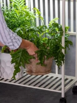 Oslo 2-Tier LED Grow Light Garden, 2 Fixtures -Garden Care Supplies 8609220 4122 tif