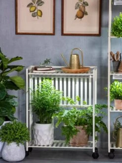 Oslo 2-Tier LED Grow Light Garden, 2 Fixtures -Garden Care Supplies 8609221 7236 tif