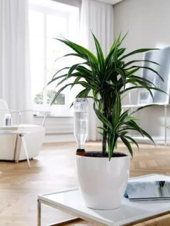 Hydro Wine Container Watering System, Set Of 4 12 Hydro Wine Container Watering System, Set Of 4 -Garden Care Supplies 8609224 02V tif