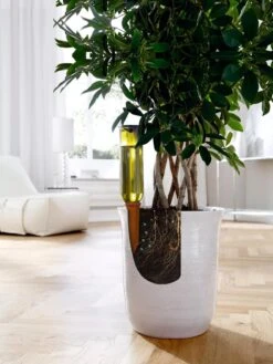 Hydro Wine Container Watering System, Set Of 4 13 Hydro Wine Container Watering System, Set Of 4 -Garden Care Supplies 8609224 04V tif