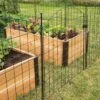 6 Panel Critter Fence With Gate -Garden Care Supplies 8609844 8458 6 panel critter fence with gate 3 4