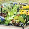 Raised Bed Bubblers Irrigation Kit -Garden Care Supplies 8610220 1172 tif