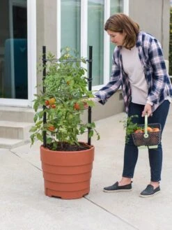 Gardener’s Victory Self-Watering Planter Garden Kit -Garden Care Supplies 8610239 06002 tif