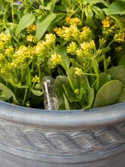 Adjustable Self-Watering Insert For Pots And Planters -Garden Care Supplies 8610250 0010 tif