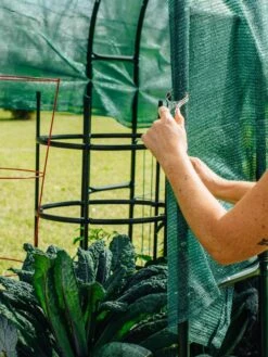 Maxi Garden Hoops With Clips -Garden Care Supplies 8610372 368 tif