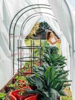 Maxi Garden Hoops With Clips -Garden Care Supplies 8610373 377 tif