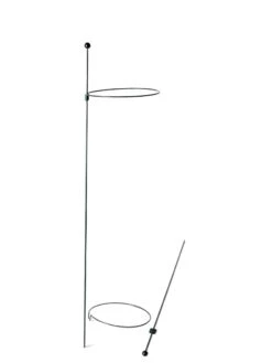 Peacock Mini Plant Support Rings 8", Set Of 2 -Garden Care Supplies 8610388 9565 tif