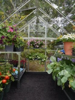 Canopia® By Palram Harmony™ Greenhouse, 6' X 14' -Garden Care Supplies 8610563 03V jpg