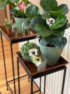 Square Nesting Plant Stands With Trays, Set Of 2 -Garden Care Supplies 8611014 3651 tif