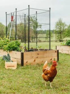 Tall Chicken Wire Critter Fence With Gate -Garden Care Supplies 8611020 316 tif