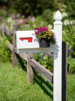 Mailbox Planter -Garden Care Supplies 8611026 014 tif
