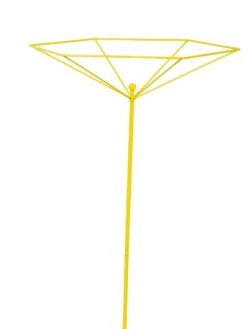 Parasol Plant Supports, Set Of 3 16 Parasol Plant Supports, Set Of 3 -Garden Care Supplies 8611129 3844 tif