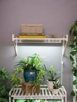 Oslo LED Grow Light Wall Shelf -Garden Care Supplies 8611516 8400 tif