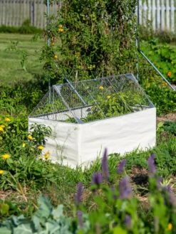 Crop Coop Covers Set -Garden Care Supplies 8611698 005 tif