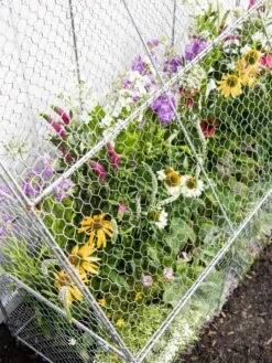 Chicken Wire Flat Back Crop Coop -Garden Care Supplies 8611701 153 tif