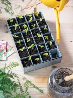 Self-Watering Galvanized Seed Starting Tray -Garden Care Supplies 8611714 030 tif