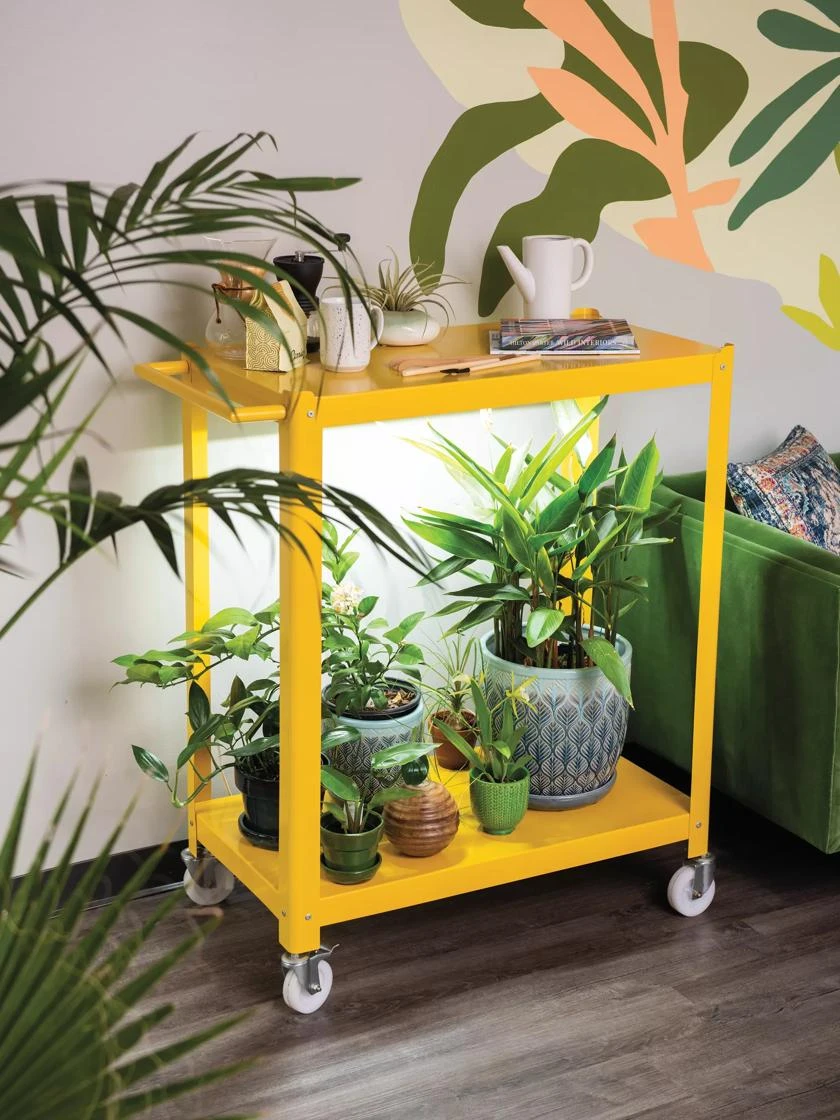 Mobile LED Grow Light Cart 3 Mobile LED Grow Light Cart