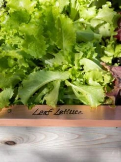 Re-Markable Raised Bed Trim -Garden Care Supplies 8611757 326 tif