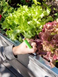 Re-Markable Raised Bed Trim -Garden Care Supplies 8611758 301 tif