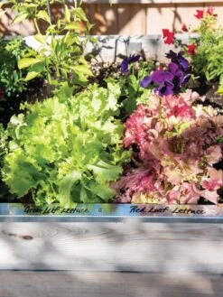 Re-Markable Raised Bed Trim -Garden Care Supplies 8611758 306 tif