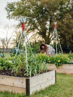 DIY Connector For Teepee Trellis -Garden Care Supplies 8611896 38 tif