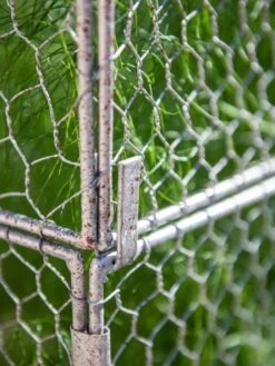 Chicken Wire Crop Coop Extension -Garden Care Supplies 8611940 232 tif