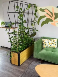 Self-Watering Partition Planter -Garden Care Supplies 8611952 001 tif