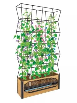 Self-Watering Partition Planter -Garden Care Supplies 8611952 art 3 4