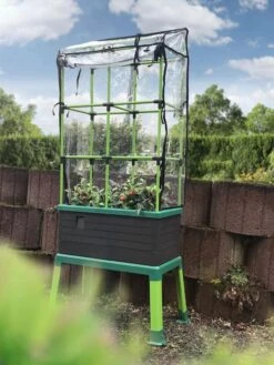 Greenhouse Cover For City Jungle® Tomato Trellis -Garden Care Supplies 8611959 03V tif