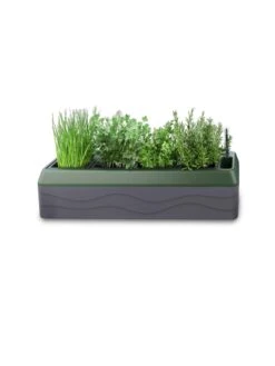 Provence Self-Watering Herb Planter -Garden Care Supplies 8611965 03V tif